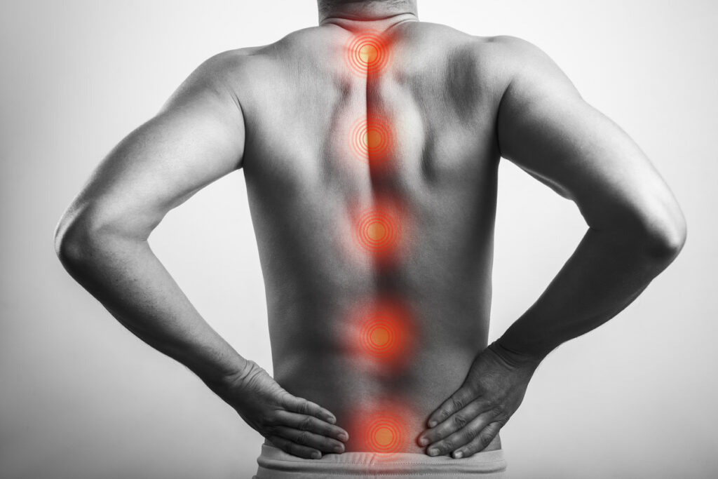 What’s Causing Your Back Pain? Most Common Ailments & Remedies Palmetto Bone and Joint
