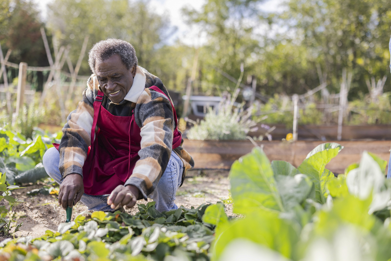 A person kneeling in a garden bed planting flowers in spring, illustrating common gardening positions that can lead to joint pain.